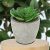 Unique Bargains Artificial Plants Mini Frost Lotus in Pulp Plastic 2.76"x2.76"x2.95" 1Pcs - 2 of 4