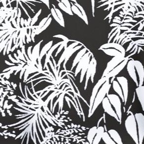 black palm