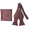 Men's Checkered 2.75" x 4.75" Adjustable 16" - 20" Freestyle Self Tie with Hankie Set - 2 of 4