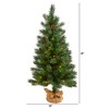Nearly Natural 3-ft Fraser Fir Natural Look Artificial Christmas Tree with 50 Clear LED Lights, Pinecones, a Burlap Base and 90 Bendable Branches - 2 of 3