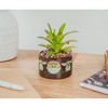 Silver Buffalo Star Wars: The Mandalorian Chibi Grogu Mini Planter with Artificial Succulent - 4 of 4