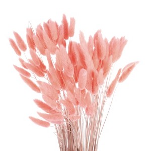 Unique Bargains Decorative Natural Dried Floral Bunny Tail Artificial Plants 120 Pcs - 1 of 4