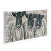 Stupell Industries Three Sheep Trio Portrait, 17" x 7" - 3 of 4