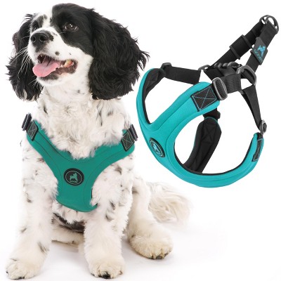 Gooby Escape Free Sport Harness Turquoise, Large