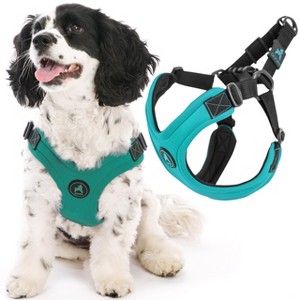 Gooby Escape Free Sport Harness Turquoise, Large - 1 of 1