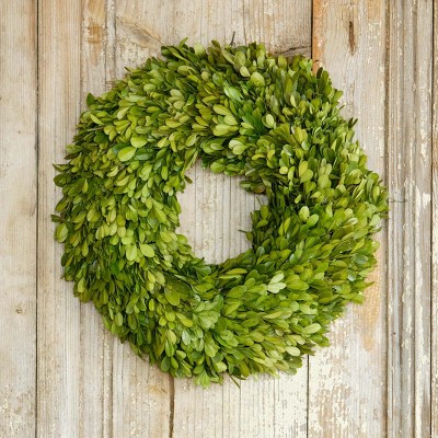 Park Hill Collection Preserved Boxwood Wreath Small