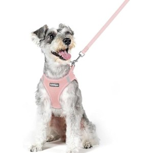 rabbitgoo Dog Harness Small Sized and Leash Set, Breathable Mesh Pet Harness, Reflective for Outdoor Safe Walking, Pink XL - 1 of 1