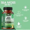 NaturaLife Labs Sea Moss Complex – 90 Veggie Capsules - 4 of 4