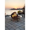 Good Directions 30" LG Spark Fireplace Screen with Lifter Steel - 2 of 4