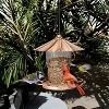 phiestina Bird Feeder with Lid, Heavy-Duty Metal, Petals-Shaped Roof, 360° Feeding Ports, Bronze - 3 of 4