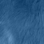 dusty indigo