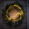 Sullivans Artificial Norfolk Island Cedar Christmas Accent Ring  Green  Indoor Christmas DÃƒÂ©cor - 4 of 4