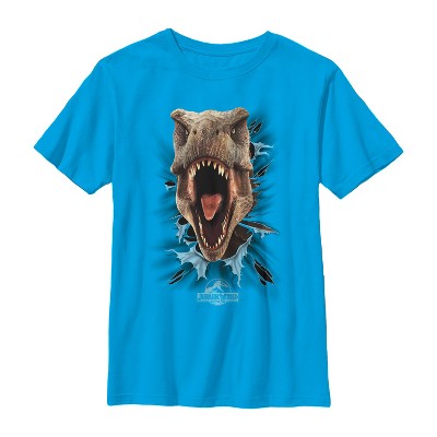 Boy's Jurassic World T. Rex Rip T-shirt : Target