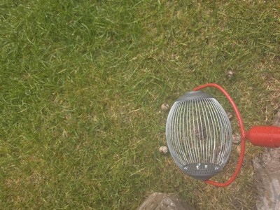 Guest review image 4 of 4, zoom in
