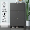 RISOKEYS  Drawer Steel Shoe Cabinet, Freestanding Shoe Rack Storage Organizer with Flip Door,Shoe Cabinet for Entryway, Hallway, Bedroom,Black - 2 of 4