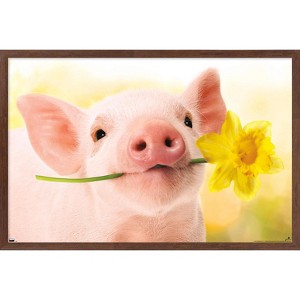 Trends International Avanti - Piglet with Daffodil Framed Wall Poster Prints - 1 of 4