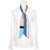 INSPIRE CHIC Women's Striped Printed Skinny Long Satin Silky Neck Scarves 1Pc - 2 of 4