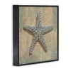 Stupell Industries Starfish Beach Objects Design, 24" x 24" - 3 of 4