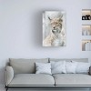 Canvas Wall Art - Santiago Pascual Buye 'Lynx Portrait In The Fog' Wall Art for Living Room, Bedroom, or Office Décor by Trademark Fine Art - 16 x 24 - 3 of 4