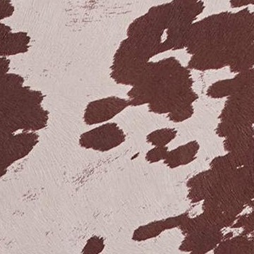 brown and white/velvet