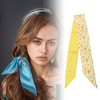 Unique Bargains Women's Fruit Long Ribbon Headband 1 Pc - 2 of 4