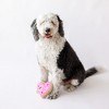 Midlee Pink Heart Sugar Cookie Dog Toy - 3 of 4