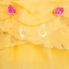 Disney Princess Belle Costume - 4 of 4