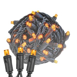 Novelty Lights 50 Light LED Christmas Mini Light Set (Black Wire, 25 Feet) - 1 of 4