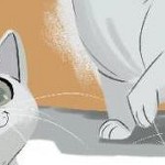 clear push pins bundle