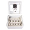 Little Giant 11300 Deluxe Digital Incubator with Built-In Fan and Automatic Egg Turner, 41 Egg Capacity (2 Pack) - 2 of 4