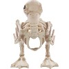 Seasons USA Duck Skeleton Prop Halloween Decoration -  - Off-White - 4 of 4