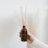 Sweet Water Decor  Spa Day Amber Reed Diffuser -3.5oz - 2 of 3