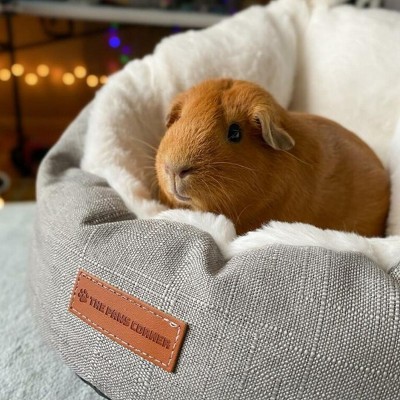 Munora Small Pet Sleeping Bag Bed - Ultra-Soft Plush, Anti-Skid Bottom - Machine Washable for Cats & Small Pets Under 6.6 lbs (Grey)