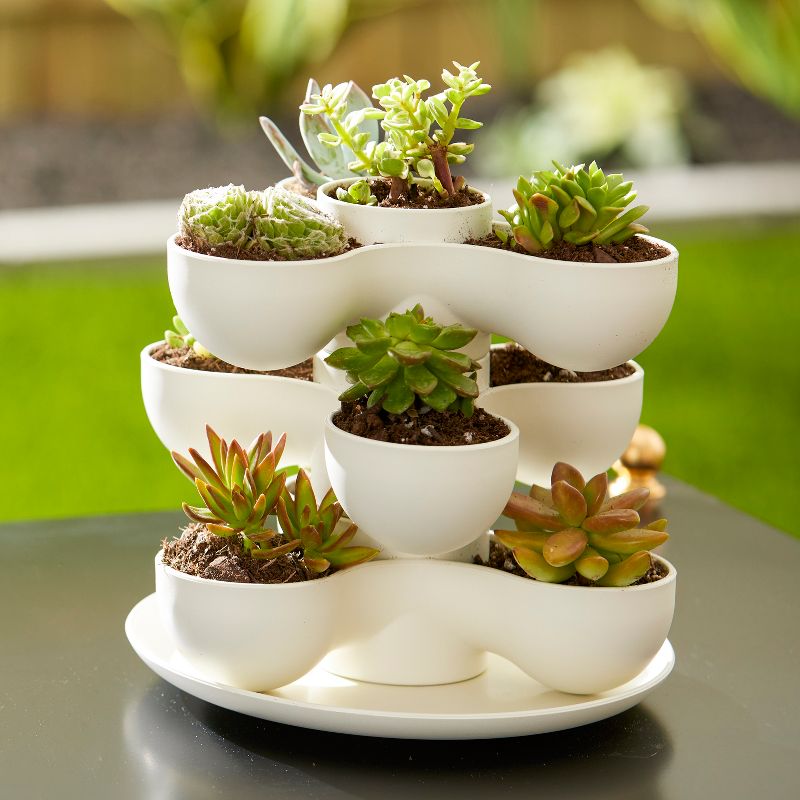 The HC Companies 8 Inch Round Stacking Decorative Indoor Pixie Succulent Flower Planter Pot with 3 Planting Levels, Vanilla Bisque, 3 of 8