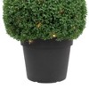 Northlight 20" Pre-Lit Artificial Boxwood Ball Topiary in Round Pot, Clear Lights - 3 of 4