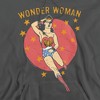 Dc Wonder Circle Adult Pull-Over Hoodie - 2 of 4