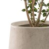 Rosemead Home & Garden 3pc Concrete Outdoor Planter Pots Beige - 3 of 4