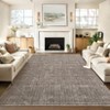 Washable Area Rug Large Indoor Carpet with Non-Slip Backing, Non-Shedding Oriental Distressed Printed Rug, Area Rugs for Living Room Bedroom Hallway - 2 of 4