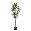 Gulches 72in Artificial Olive Tree in Pot Green Silk Leaves Indoor Outdoor Mediterranean Decor Faux Plant with Bendable Branches - 4 of 4