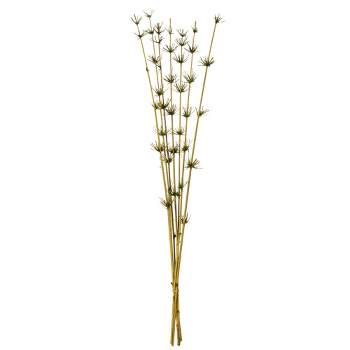 Vickerman 36-40" Star Bamboo Reed Stem, Dried