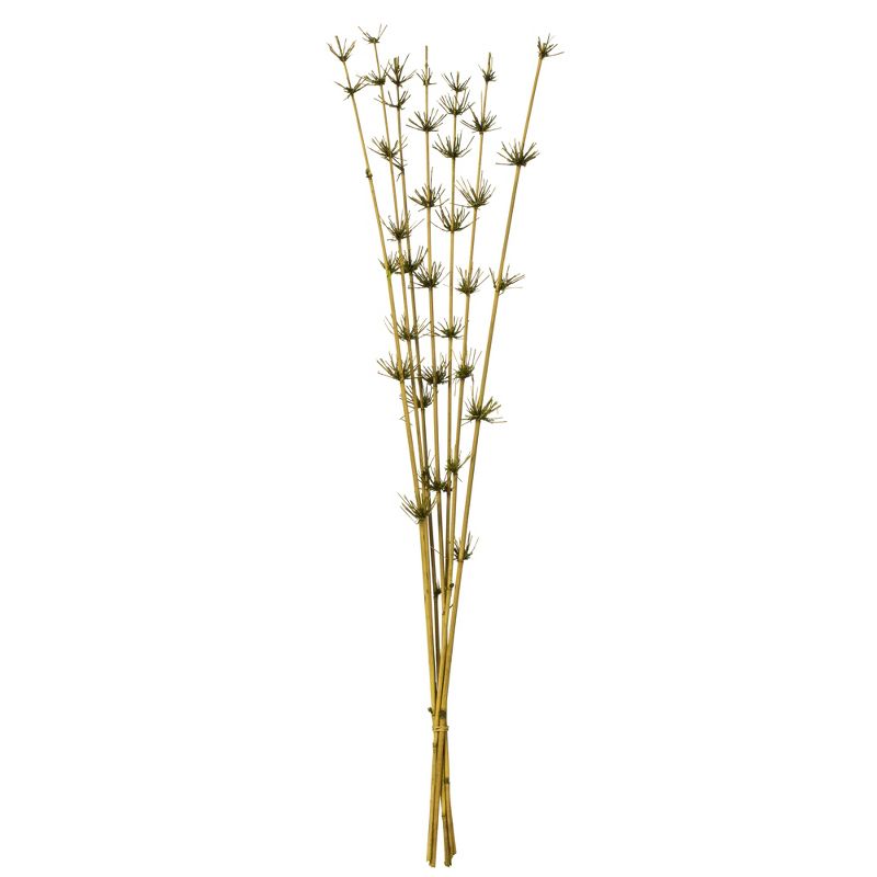 Vickerman 36-40" Star Bamboo Reed Stem, Dried, 1 of 5