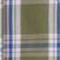 safari green check