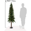 Perfect Holiday 6' Natural Alpine Tree - 3 of 4