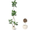 7FT Artificial Plants Rubber Tree  Faux Fiddle Leaf Fig Tree Indoor Artificial Trees Tall Plant Fake Tree Tropical Large Floor Tree Real Touch - 4 of 4