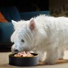 Cesar Fresh Chef Chicken, Carrot, Pea, Vegetable, Beef and Red Meat Flavor Adult Refrigerated Wet Dog Food - 3.2lbs - 3 of 4