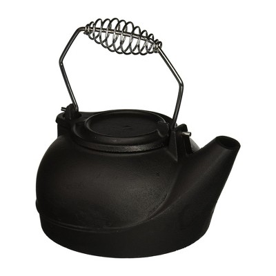 Panacea Classic Style Fireplace Cast Iron Wood Steamer Stove Kettle ...