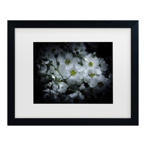 Trademark Fine Art - Brian Carson Backyard Flowers 51 Matted Framed Art ...