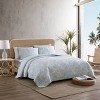 Palmday Quilt & Sham Set - Tommy Bahama - 3 of 4