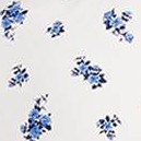 Blue Floral