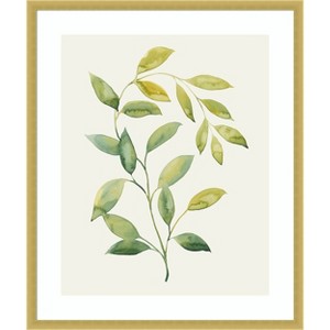 Amanti Art Wilted Vine I by Grace Popp Wood Framed Wall Art Print - 1 of 4